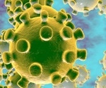 Newly discovered virus, New Haven coronavirus