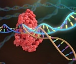 Finding new treatments for muscular dystrophy with CRISPR-Cas9