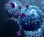 Cancer could potentially be treated with new immunotherapy approach, say researchers