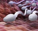 Diet affects sperm and the health of offspring