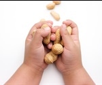 Presence of certain gut bacterium in mothers could protect babies from food allergies