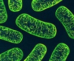 Do Nanomaterials Affect the Mitochondria?