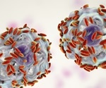 Microbiome could help identify pre-cancer risk in women with HPV