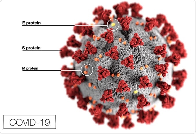 This illustration, created at the Centers for Disease Control and Prevention (CDC), reveals ultrastructural morphology exhibited by coronaviruses. The illness caused by this virus has been named coronavirus disease 2019 (COVID-19). (CDC Illustration)