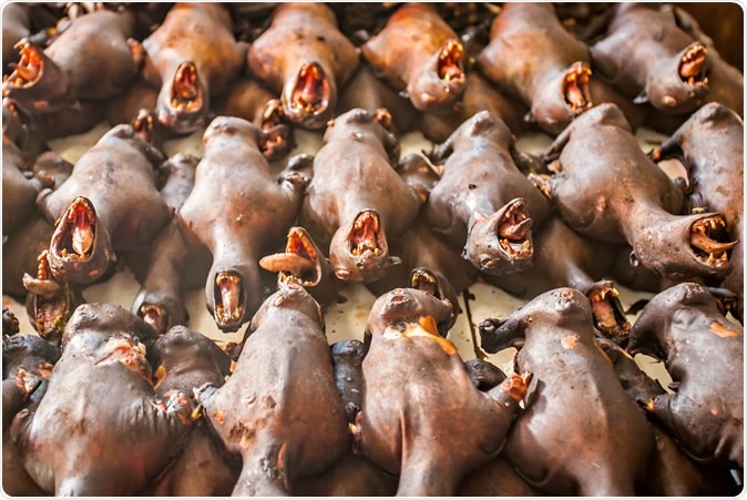 Roasted bats at Tomohon market, Sulawesi, Indonesia. Image Credit: Sony Herdiana / Shutterstock