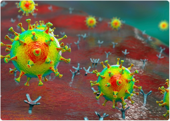 Vírus SARS-CoV-2 que ligam aos receptors ACE-2 em uma pilha humana, a fase inicial COVID-19 da infecção, ilustração 3D conceptual. Crédito: Kateryna Kon/Shutterstock