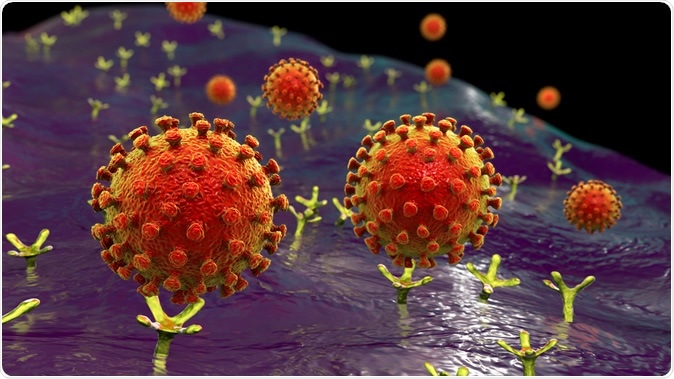 Vírus SARS-CoV-2 que ligam aos receptors ACE-2 em uma pilha humana, a fase inicial COVID-19 da infecção, crédito conceptual da ilustração 3D: Kateryna Kon/Shutterstock