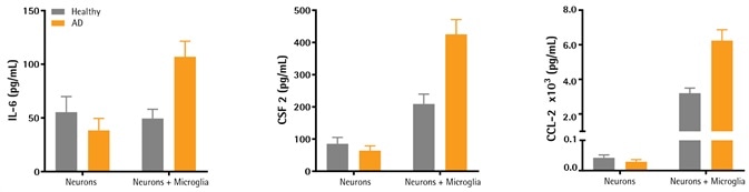 Neuronal and Microglial Analysis for Alzheimer’s Disease Models
