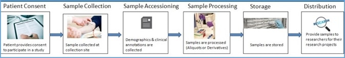 How LIMS can Solve Biobanking Informatics Challenges