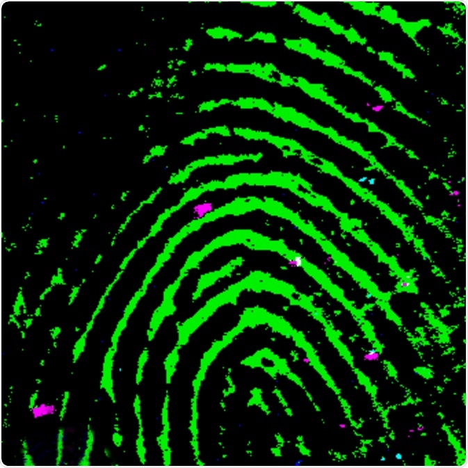 Raman image of a fingerprint with explosive material residues.