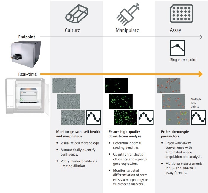 IncuCyte® SX1 Live-Cell Analysis System