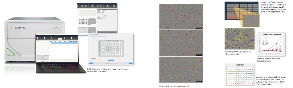 IncuCyte® SX1 Live-Cell Analysis System