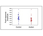 Dysregulation in the brainstem may explain atypical attentional behaviors in people with autism