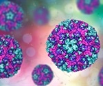 New Vietnamese enterovirus C4 strains possibly more virulent than B5 strains
