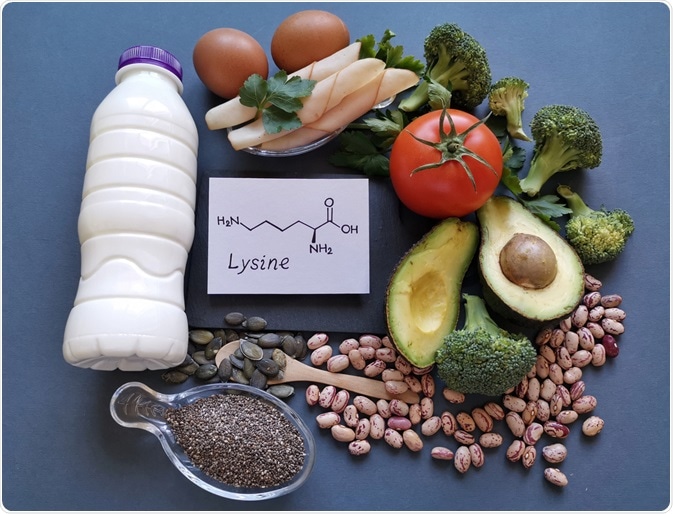 lysine foods