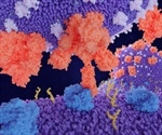 Novel coronavirus targets specific secretory cells in the lungs