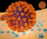 ACE2 genetic variants may influence coronavirus disease progression