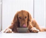 Raw-type dog food contains high levels of multidrug-resistant bacteria