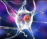 New research gives further evidence that autoimmunity plays a role in Parkinson's disease