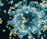 Human endemic coronavirus reinfection possible after recovery