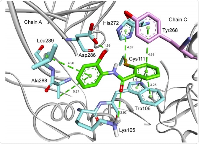 A model of the complex of compound 1d with SARS-CoV-2 PLpro