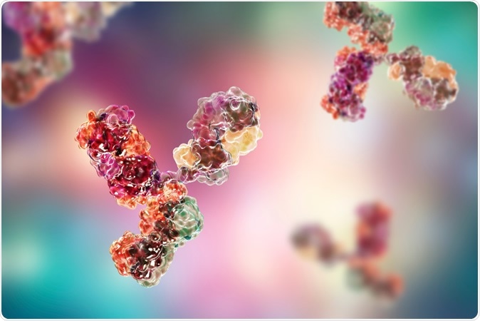 Molecular model of antibody taking part in immune defense. Image Credit Kateryna Kon / Shutterstock
