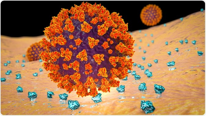 Vírus SARS-CoV-2 que liga aos receptors ACE2 em uma pilha humana, a fase inicial da infecção COVID-19. Crédito da ilustração: Kateryna Kon/Shutterstock
