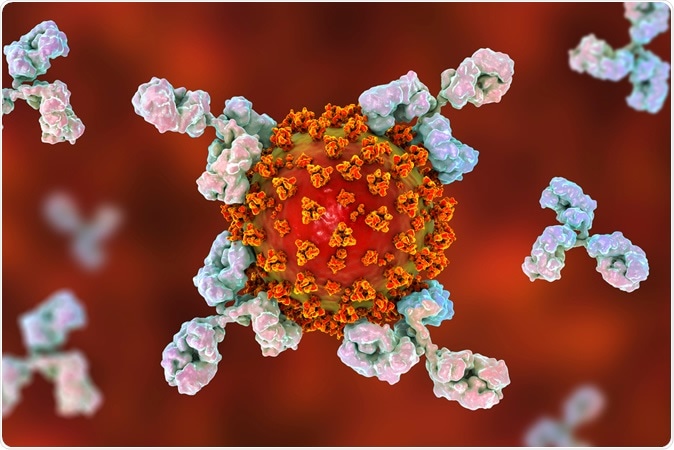 Antibodies attacking SARS-CoV-2 virus, the conceptual 3D illustration for COVID-19 treatment. Image Credit: Kateryna Kon / Shutterstock