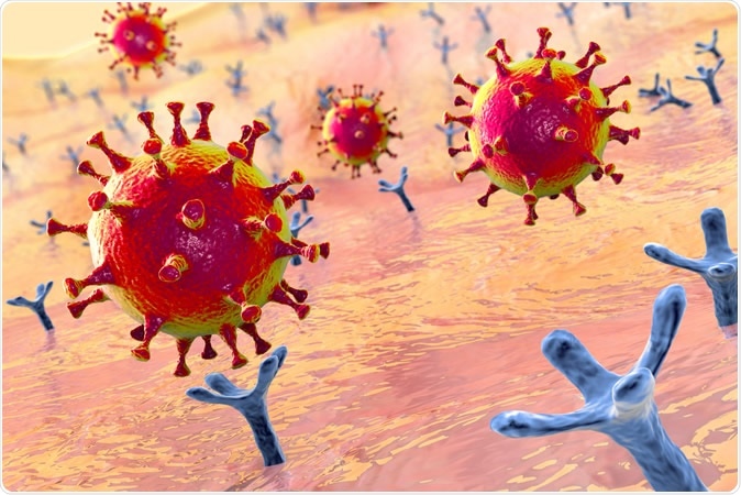 Virus SARS-CoV-2 que atan a los receptores ACE-2 en una célula humana, el escenario inicial COVID-19 de la infección, haber conceptual del ejemplo 3D: Kateryna Kon/Shutterstock