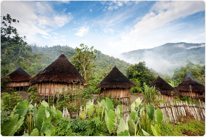 Study: Eruption of COVID-19 like illness in a remote village in Papua (Indonesia). Image Credit: Tyler Olson / Shutterstock