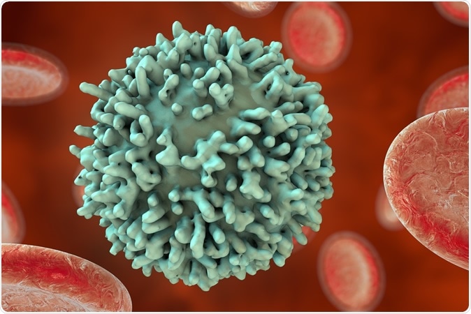 B-lymphocyte and red blood cells. Image Credit: Kateryna Kon / Shutterstock