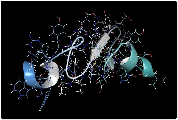 Epidermal growth factor (EGF) signaling protein molecule. 3D rendering. Image Credit: StudioMolekuul / Shutterstock