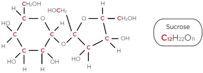 Organic molecule sucrose contains 12 carbon atoms.