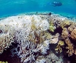 Scientists produce corals with increased heat tolerance to reduce reef bleaching