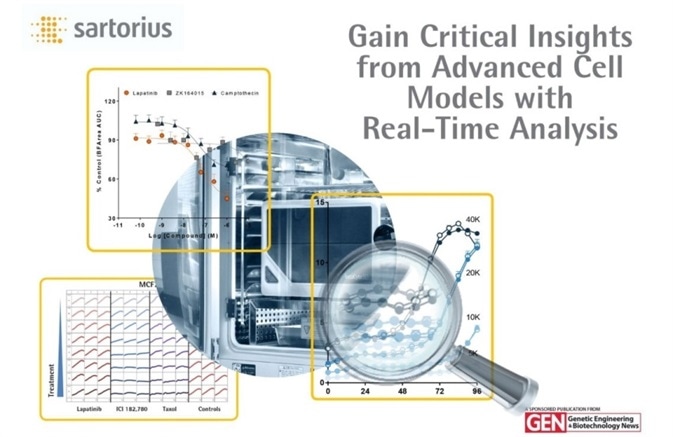 Real Time Analysis of Advanced Cell Models eBook