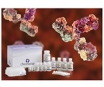 ChIP kits for high throughput antibody validation
