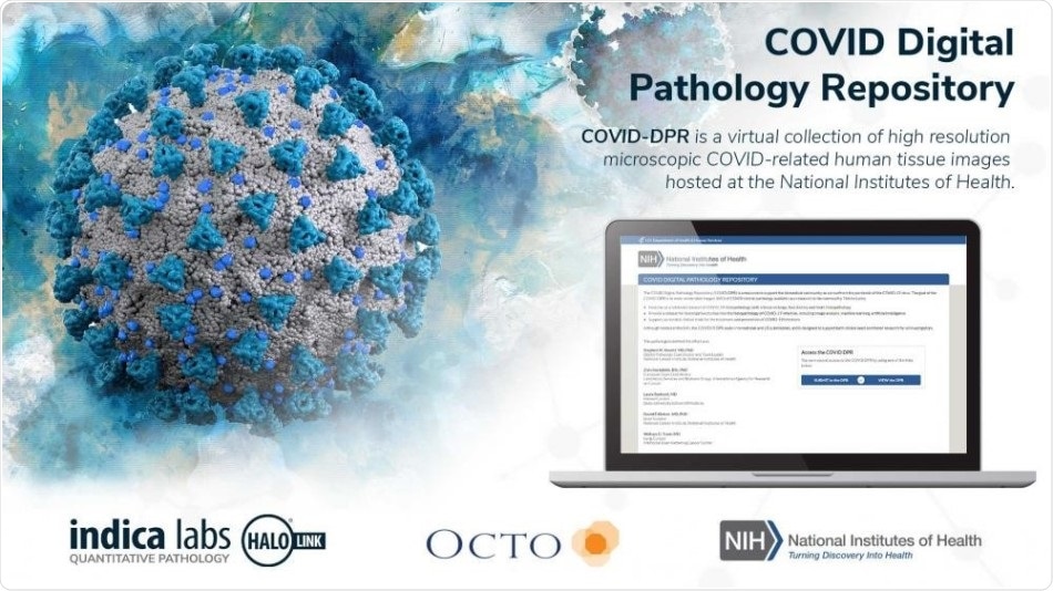 Indica Labs and Octo announce launch of online COVID Digital Pathology Repository
