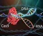 New rapid CRISPR-based test for sensitive SARS-CoV-2 detection