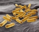 E. coli as a Model Organism