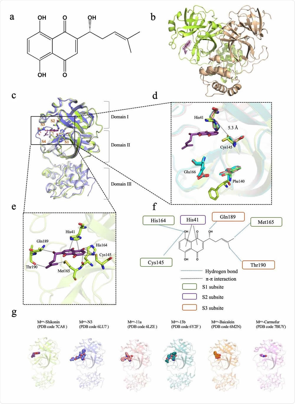 Crystal structure of SARS-CoV-2 main protease (Mpro) in complex with a Chinese herb inhibitor shikonin