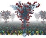 Scientists create 'all-atom' model of SARS-CoV-2 spike protein
