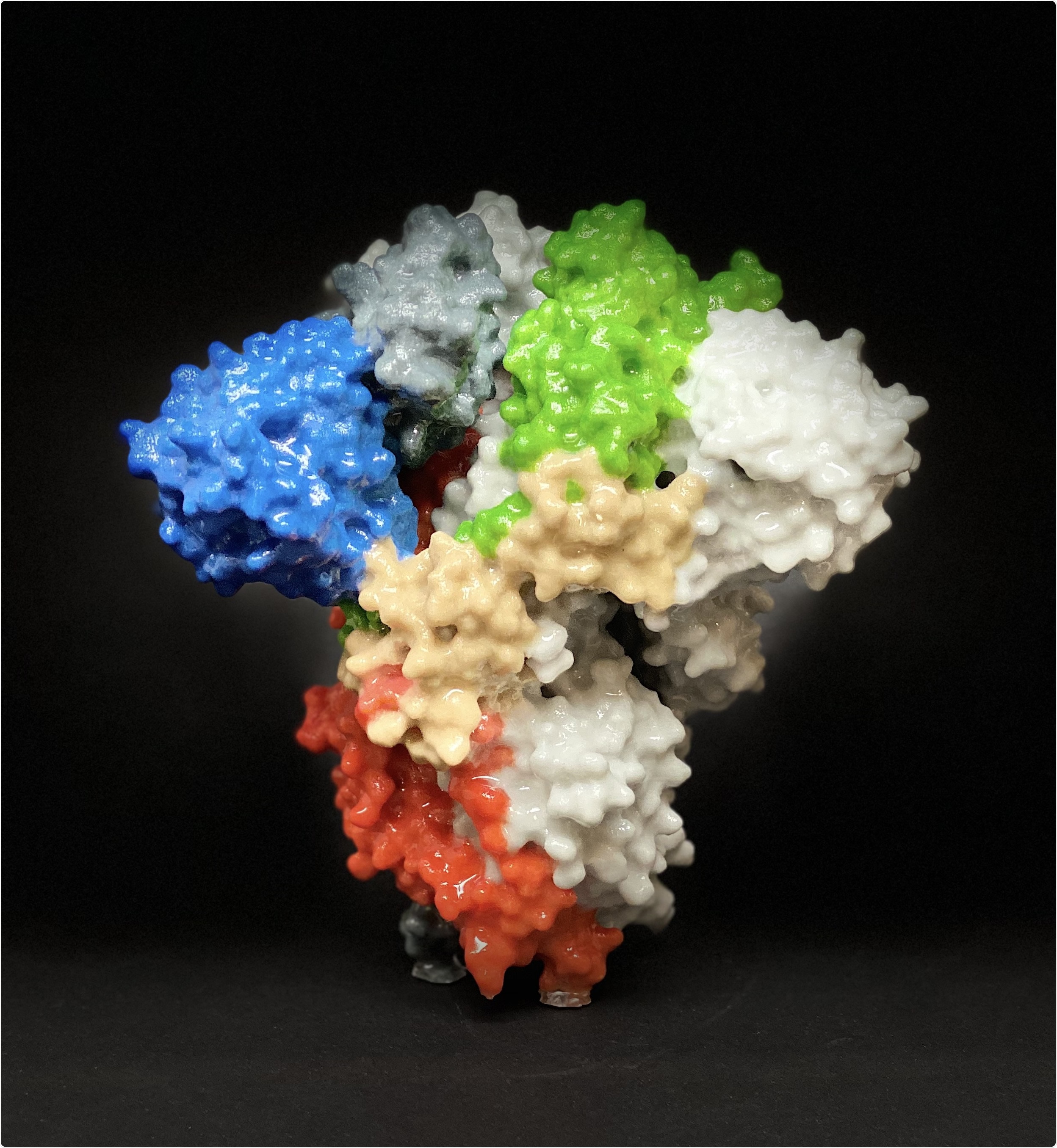 Novel Coronavirus SARS-CoV-2 Spike Protein 3D print of a spike protein on the surface of SARS-CoV-2—also known as 2019-nCoV, the virus that causes COVID-19. Spike proteins cover the surface of SARS-CoV-2 and enable the virus to enter and infect human cells. For more information, visit the NIH 3D Print Exchange at 3dprint.nih.gov. Credit: NIH