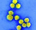 Pixatimod is active in lab studies against SARS-CoV-2