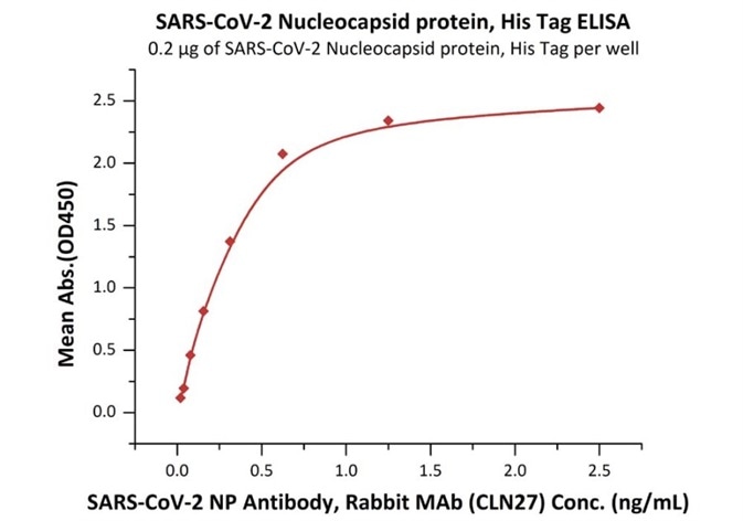 N Protein in COVID-19 Diagnostic Kits