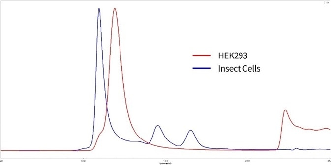 SEC-MALS of HEK293 expressed and insect cell expressed S proteins. Red: HEK293 expressed S protein is verified to be trimer with 85% purity. MW is 600 to 660kDa. Blue: Insect cell expressed S protein is in high polymerization state.