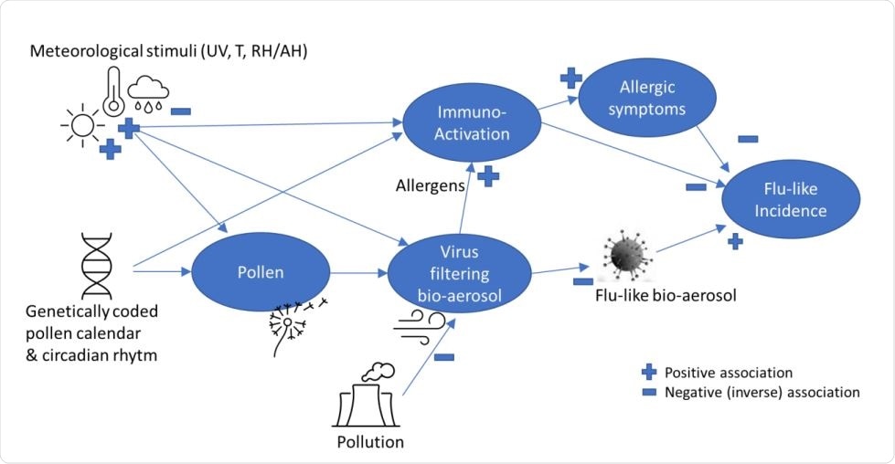 A simplified theoretic model explaining pollen-flu inverse seasonality, whereby pollen might have a direct (I) “anti-viral”, indirect allergenic (II) and/or immune triggering (III) function, inhibiting flu-like epidemic incidence in combination with meteorological conditions and triggers.