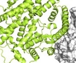 Anti-RBD antibodies shown to neutralize active SARS-CoV-2