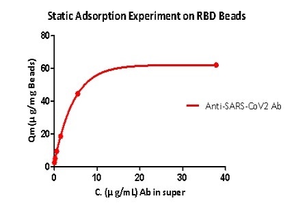 Static adsorption experiment on RBD beads