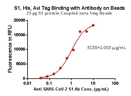 S1,His,Avi Tag Binding with Antibody on beads