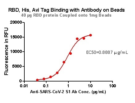 RBD,His,Avi Tag Binding with Antibody on beads